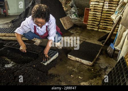 Biritiba Mirim, Sao Paulo, Brasilien, 13. März 2013. Landarbeiter setzt Substrat ein, um Gemüsesämlinge auf einem Familienbetrieb in Brazli zu Pflanzen Stockfoto