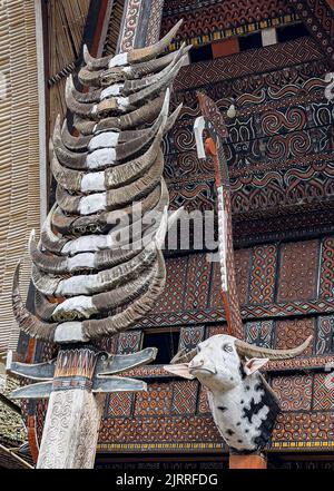 Java, Indonesien, 13. Juni 2022 - Bulls Kopf und Hörner auf der Vorderseite eines Toraja-Hauses montiert. Stockfoto