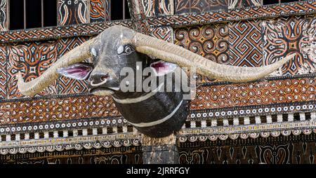Java, Indonesien, 13. Juni 2022 - Bulls Kopf montiert auf der Vorderseite eines Toraja-Hauses. Stockfoto
