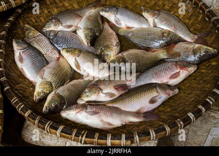 Java, Indonesien, 13. Juni 2022 - Fisch in einem Korb zum Verkauf auf einem Markt. Stockfoto