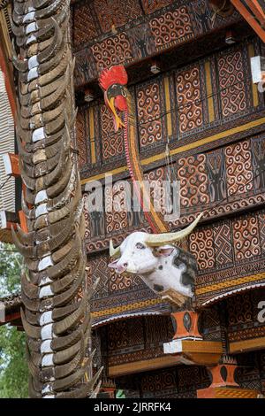 Java, Indonesien, 13. Juni 2022 - Bulls Kopf montiert auf der Vorderseite eines Toraja-Hauses. Stockfoto