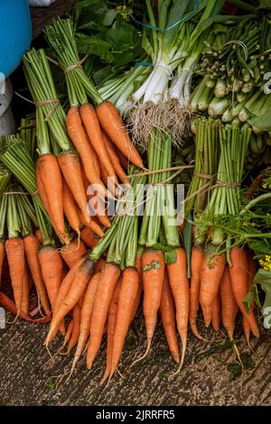 Java, Indonesien, 13. Juni 2022 - Karotten und grüne Zwiebeln zum Verkauf auf einem Markt. Stockfoto