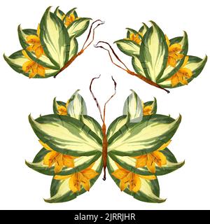 Floraler Schmetterling aus bizarren gebogenen Lilienblättern gepresste trockene, hosta-grüne Blätter mit weißen Streifen und leuchtend gelben Narzissenblüten Stockfoto