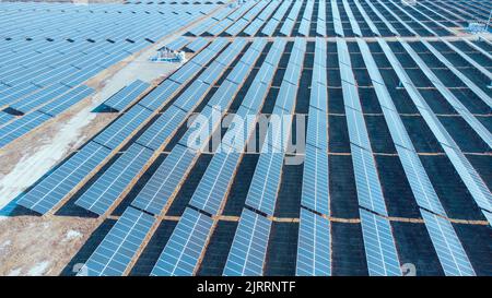 Luftaufnahme : Blue Solar Farm, Sonnenkollektoren Stockfoto