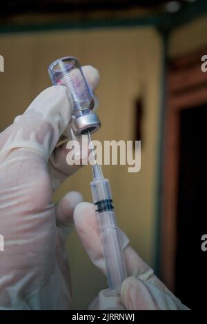 Temanggung, Central Java, Indonesien, 23. September 2021: Medizinische Mitarbeiter bereiten Injektionen des Covid-19-Impfstoffs vor. Durch diese Methode wird erwartet, dass die Teilnahme an Impfungen zunehmen wird, da sie Familien erreichen kann, die keinen Zugang haben und Angst haben, das Haus zu verlassen, um die Übertragung des Virus zu vermeiden. Stockfoto
