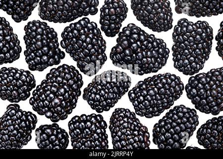 BlackBerry-Hintergrund. Waldbeeren Textur, volle Schärfentiefe Stockfoto