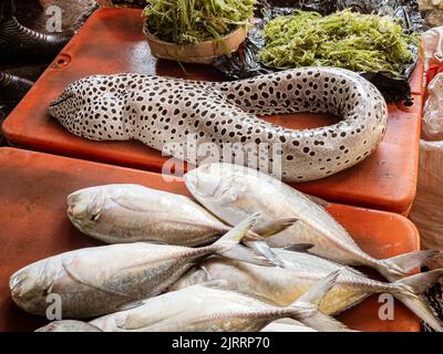 Indonesien, Juni 13 2022 - große Fische, die auf einem Markt zum Verkauf angeboten werden. Stockfoto