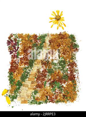 Der Weg, der Weg zur Sonne Bouquet von getrockneten, gepressten Blättern von Pflanzen gesammelt und aufgeklebt, Herbst Herbst Blatt, Holzbretter, isolierte Objekt wh Stockfoto