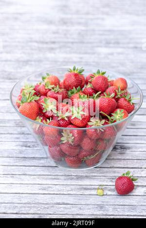 Ernte von Erdbeeren aus dem Garten, auf einem Holztisch Stockfoto