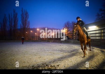 Das Reitzentrum von Mancy gehört zur Landwirtschaftsschule von Mancy. Reiten: Am Abend junges Mädchen zu Pferd, Schülerin der Agri Stockfoto