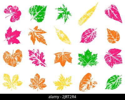 Blattstempel. Aufdruck herbstlicher Blätter. Kreative Einrichtung in Naturtönen. Stock Vektor