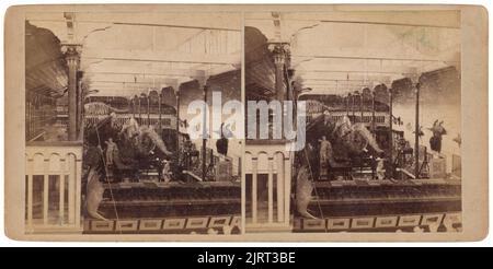 Colonial Museum, Wellington, 1880s, Dunedin, von Burton Brothers. Stockfoto