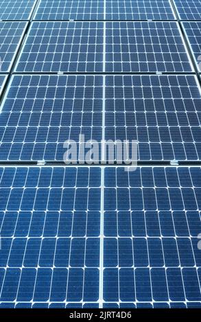 Nahaufnahme von Photovoltaikmodulen, selektiver Fokus. Stockfoto