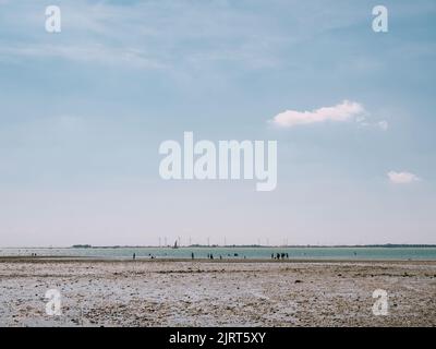 Die Küstenlandschaft mit den Menschen in West Mersea, Mersea Island, Essex, England, Großbritannien, bei Ebbe und Flut im Sommer Stockfoto