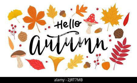 Hallo Herbst handgezeichnete Vektor-Kalligraphie mit Blättern Set. Niedliche verschiedene Blätter, Pilze, Beeren und Eicheln. Vektor der saisonalen Elemente des Herbstes Stock Vektor