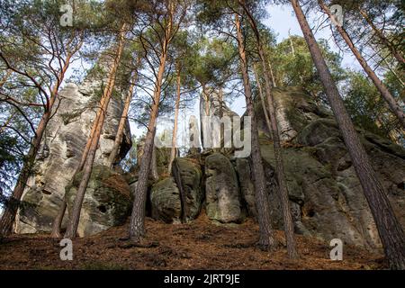 Adrspach Teplice Felsen Nationalpark, Tschechische Republik (Weg zum Cross Hügel). Adrspassko - teplicke skaly. Grüner Hintergrund HD. Hintergrund 4K. Stockfoto