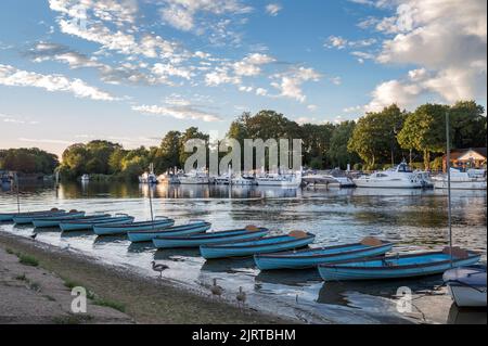 Boote auf der Themse in Surrey Stockfoto