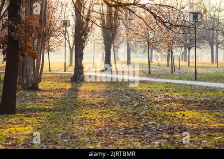 Ein Weg durch den schönen öffentlichen Park von Izvor an einem nebligen Wintermorgen in Bukarest, Rumänien Stockfoto