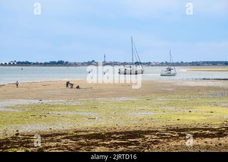 Blick auf Ars-en-ré von la patache auf der Insel ile-de-Ré auf Ebbe mit Booten ruhen und Menschen auf der Suche nach Muscheln an sonnigen Tagen im Sommer Stockfoto