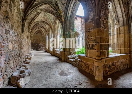 Das Rosa-Coeli-Kloster. Alte katholische Ruine des Klosters in der Nähe der Stadt Dolni Kounice. Religion Gotischer Ort mit spiritueller Geschichte aus Stein gebaut. Stockfoto