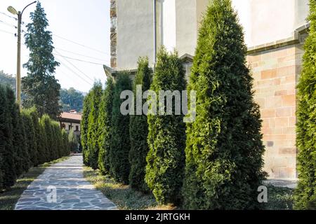 Mittelalterliche Lopushna Kloster des Heiligen Johannes, der Vorläufer der Provinz, Montana, Bulgarien Stockfoto