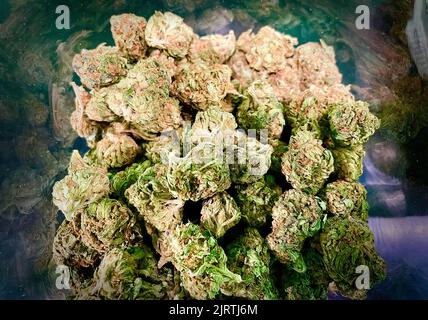 Cannabis medizinisches Marihuana CBD-Blütenknospen in der Apotheke Stockfoto