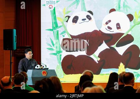 Washington, DC, USA. 24. August 2022. Der chinesische Botschafter in den Vereinigten Staaten, Qin Gang, spricht bei einem Empfang über den 50.. Jahrestag der Ankunft der riesigen Pandas in den Vereinigten Staaten, in Washington, DC, USA, am 24. August, 2022. ZUM SPIELFILM: 'Wunder'-Riese Panda schmilzt die Herzen in der 'Pandaversary'-Nacht' Credit: Ting Shen/Xinhua/Alamy Live News Stockfoto