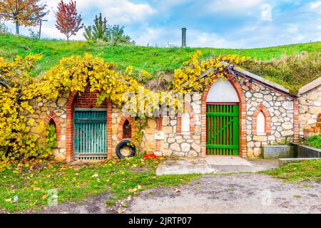 Traditioneller historischer Weinkeller im Dorf Vrbice, Region Südmähren - Tschechische Republik. Kleine Weinhäuser mit Pflanzen über dem Dach, in der gro gebaut Stockfoto