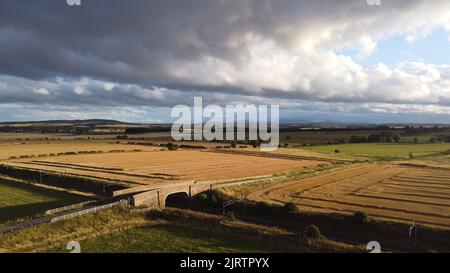 Eine Luftaufnahme von Kornkreisen in einem riesigen landwirtschaftlichen Feld in der Landschaft von Wiltshire, England Stockfoto