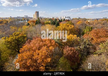 Luftaufnahme von Herbstbäumen mit Stadt im Hintergrund. Stockfoto