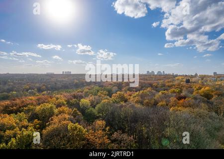 Drohne Szene des Parks in der Herbstsaison unter blauem Himmel. Stockfoto