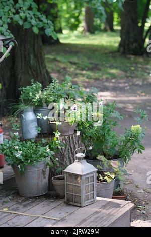 Garten vintage Retro Komposition mit Blumen und Kerze Laterne. Hinterhof-Dekor, Gartenarbeit und Haus-Design. Vertikale Größe Stockfoto