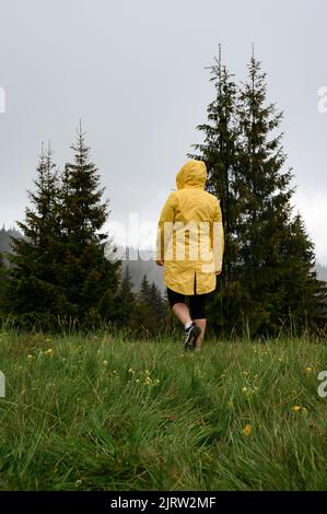Ein Mädchen in einer gelben Jacke spaziert nach dem Regen auf der Wiese, spaziert und rast in den Bergen, eine Wanderung in den Karpaten. Stockfoto