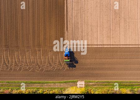 Luftaufnahme mit Reifenspuren eines markanten blauen Traktors, der ein braunes Feld pflügt, Deutschland Stockfoto