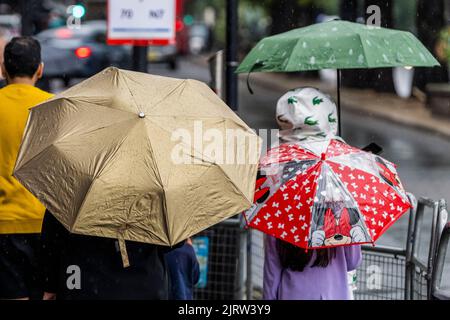 London, Großbritannien. 25. August 2022. Das heiße Wetter bricht ab, um dem starken Regen Platz zu machen. Trotzdem wurde in der Wasserregion Themse ein Rohrleitungsverbot eingeführt. Kredit: Guy Bell/Alamy Live Nachrichten Stockfoto