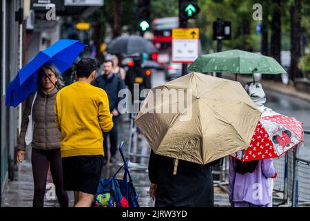 London, Großbritannien. 25. August 2022. Das heiße Wetter bricht ab, um dem starken Regen Platz zu machen. Trotzdem wurde in der Wasserregion Themse ein Rohrleitungsverbot eingeführt. Kredit: Guy Bell/Alamy Live Nachrichten Stockfoto