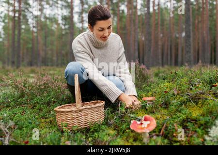 Junge Frau Pilze im Herbst Wald Stockfoto