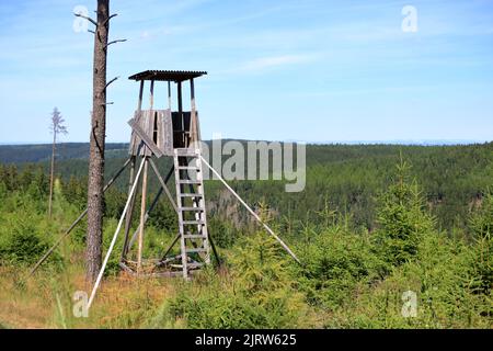 Ein Jagdturm im Wald. Hölzerner Jäger Hide hoher Wachturm. Hunter's Beobachtungspunkt im Wald in Europa Stockfoto