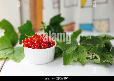 Rote Johannisbeeren mit Zweigen in einer weißen Glasschale, umgeben von grünen Blättern, auf dem Tisch am Fenster. Sommerstill-Leben mit frischen roten Beeren. Softselect Stockfoto