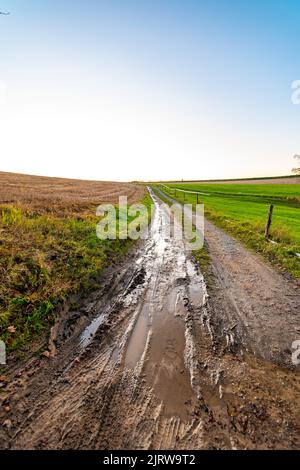 Schlammiger Pfad mit Wasserpfütze während des Herbstuntergangs. Landwirtschaftliches Feld und Wiese. Stockfoto