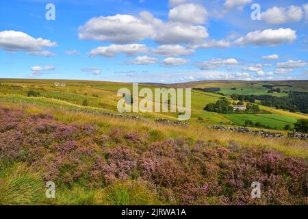 Heptonstall Moor, Pennines, West Yorkshire Stockfoto