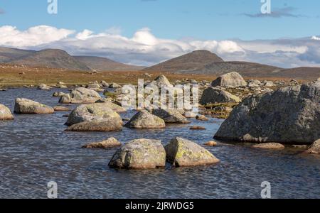 Flacher See auf dem Valdresflye-Plateau im Jotunheimen-Nationalpark Norwegen Stockfoto