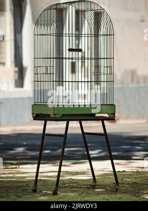 Ein Vogelkäfig zum Verkauf auf dem Markt in Saint-Chinian, Languedoc-Roussillon, Frankreich Stockfoto