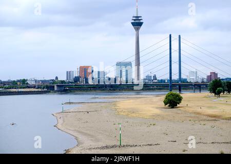 26.08.2022, Düsseldorf, Nordrhein-Westfalen, Deutschland - Blick nach Sueden von der Oberkasseler Brücke auf den Rhein und die Rheinkniebrücke über Stockfoto