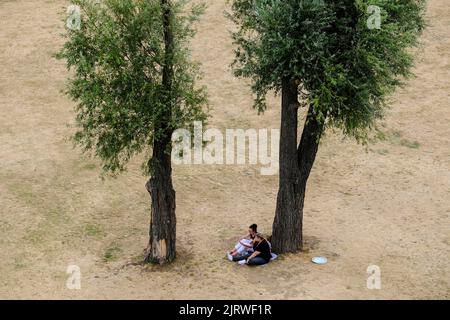 26.08.2022, Düsseldorf, Nordrhein-Westfalen, Deutschland - auf dem Trockenen, zwei Frauen sitzen an einem Augusttag unter zwei Baumen auf der völlig Stockfoto