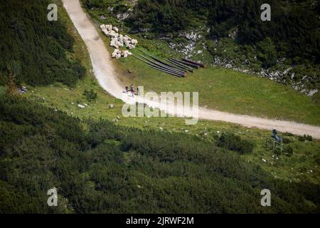 Vier Wanderer gehen die Straße hinauf in der Mitte der grünen Berge Stockfoto