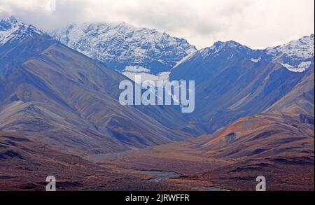 Berge im Denali National Park in Alaska Stockfoto