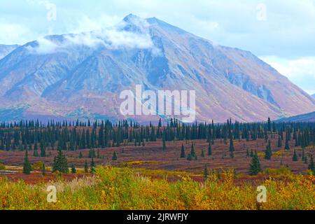 colorful autumn in Alaska Stockfoto