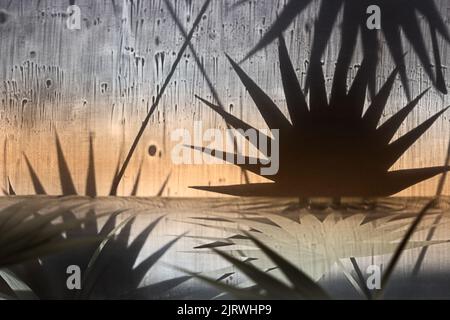 Abstrakte Landschaft mit tropischen Pflanzen und klarem Wasser. Der Reflex aus dem geschnitzten Glas auf dem Holzbrett. Das Bild ist farbig Stockfoto