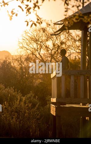 Auf einer Safari in Botswana Afrika - Alleinreisende schauen abends aus dem Baumhaus Stockfoto